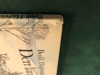 Den l&aring;nga rajden