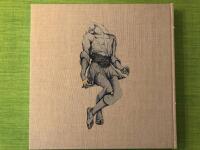 Spegling av en v&auml;rld : ett perspektiv p&aring; Wagners Ring