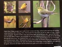 F&aring;gels&aring;ng : 150 svenska f&aring;glar och deras l&auml;ten