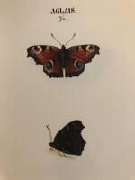 Swenska fj&auml;rilar : ordo Lepidoptera - I-II + Kommentarvolym. 3 volymer, komplett i kassett.