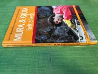 Mura & gjuta helt enkelt : Murbruk -  Betong -  G&ouml;r det sj&auml;lv