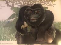 Skalbaggar &auml;r det godaste jag vet. En ploppa upp bok