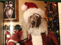 The Night Before Christmas