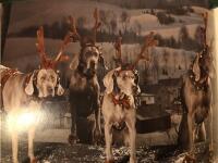 The Night Before Christmas