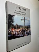 Bergum : en v&auml;stg&ouml;tasocken i omstridd gr&auml;nsbygd