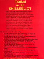 Tr&auml;ffad av en snilleblixt : hur du l&aring;ser upp din hj&auml;rna f&ouml;r innovativt t&auml;nkande