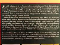 M&aring;la miniatyrer