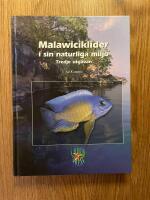 Malawiciklider i sin naturliga milj&ouml;