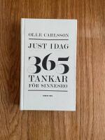 Just idag : 365 tankar f&ouml;r sinnesro