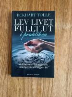 Lev livet fullt ut i praktiken : meditationer, &ouml;vningar och principer f&ouml;r ett frigjort liv