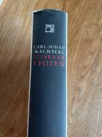 Stj&auml;rnan i foten : dikt och bild, bok och tanke hos William Blake