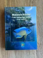 Malawiciklider i sin naturliga milj&ouml;
