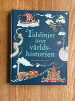 Tidslinjer &ouml;ver v&auml;rldshistorien : Fr&aring;n sten&aring;ldern till 2000-talet