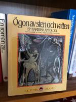 &Ouml;gon av sten och vatten