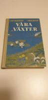 V&aring;ra v&auml;xter. 208 bilder