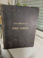 Fr&ouml;ken Florentinas af Ober-Weimar ber&auml;ttelse om sin befrielse fr&aring;n klostret efter Dr Martin Luthers text. Med 11 teckningar. &Aring;tf&ouml;ljd af artistens autobiografi, ett utdrag ur hans almanachsannotationer