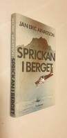 Sprickan i berget : en thriller