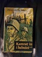 Kamrat in i helvetet