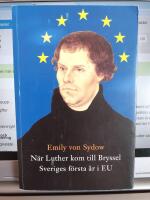 N&auml;r Luther kom till Bryssel : Sveriges f&ouml;rsta &aring;r i EU