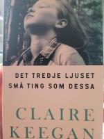 Det tredje ljuset ; Sm&aring; ting som dessa