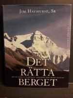 Det r&auml;tta berget : vad &auml;r verklig framg&aring;ng? : l&auml;rdomar fr&aring;n Mount Everest