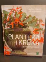 Plantera i kruka