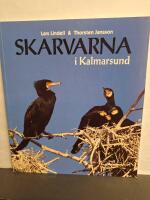Skarvarna i Kalmarsund