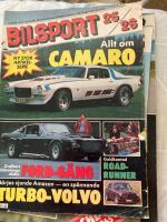 Bilsport 1981