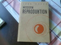 Modern Reproduktion