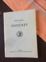 Spelregler f&ouml;r ishockey 