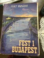 Fest i Budapest