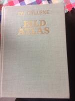 En gyllene bildatlas