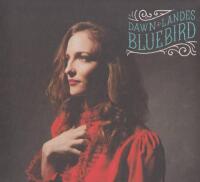 Bluebird