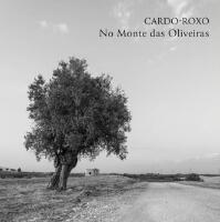 No Monte Das Oliveiras