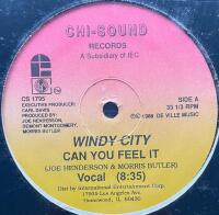 Can You Feel It (12")
