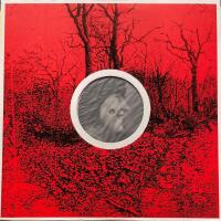 Migrating Bird: The Songs Of Lal Waterson (sampler / EP)