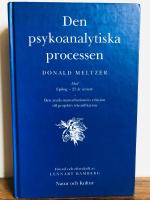Den psykoanalytiska processen : Den anala masturbationens relation till projektiv identifikation