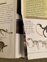 Dinosaurier i verklig storlek