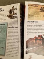 Dinosaurier i verklig storlek