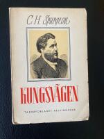 Kungsv&auml;gen