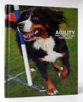 Agility : fr&aring;n start till m&aring;l