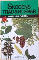 Skogens tr&auml;d och buskar i f&auml;rg