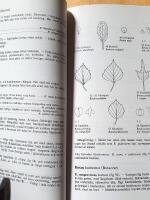 Vilda och f&ouml;rvildade tr&auml;d och buskar i Sverige : en f&auml;ltflora