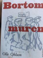 Bortom muren