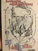 Du i den omv&auml;nda bilden