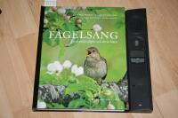 F&aring;gels&aring;ng : 150 svenska f&aring;glar och deras l&auml;ten