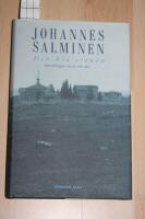 Den bl&aring; stenen