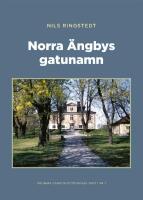Norra &Auml;ngbys gatunamn