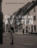 En vildmark av sten : Stockholm i litteraturen 1897-1916