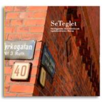 Se teglet : om tegel och tegelarkitekturen i Skurup och Svedala